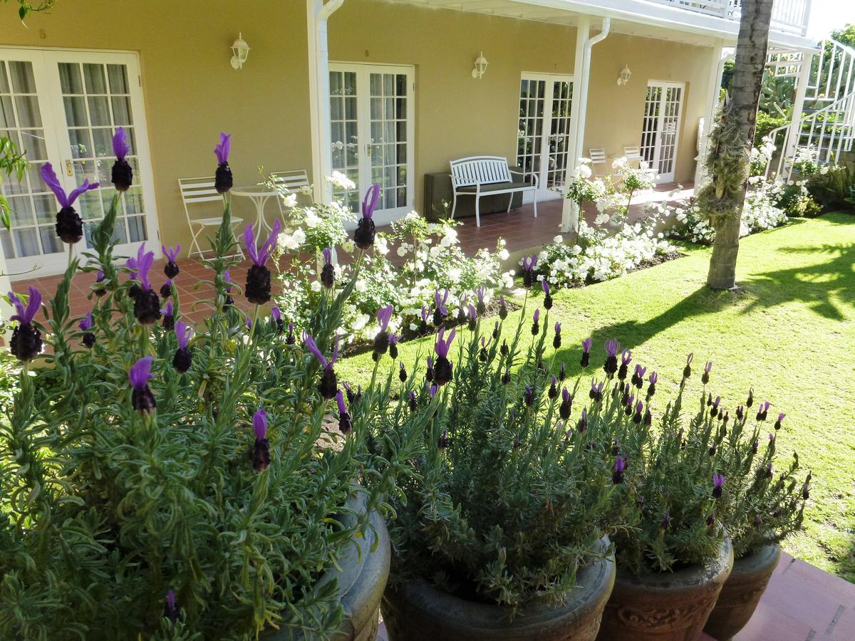 @Yamkela Guest House Oudtshoorn Εξωτερικό φωτογραφία